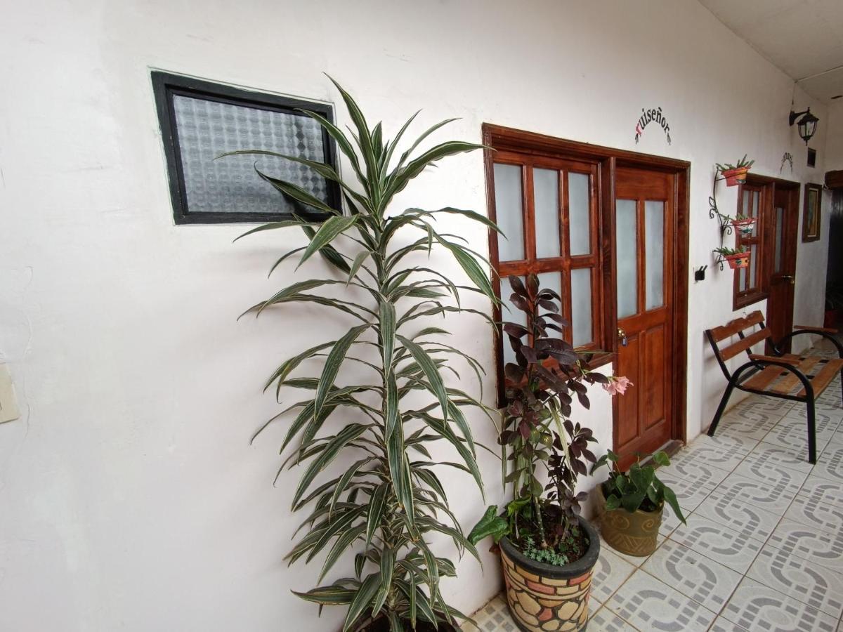 Casa Petirrojo - Habitaciones En Pátzcuaro Eksteriør bilde
